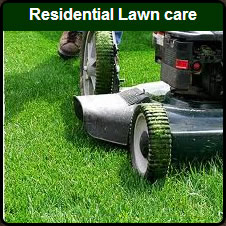 Residential Lawn Services In Del Norte County
